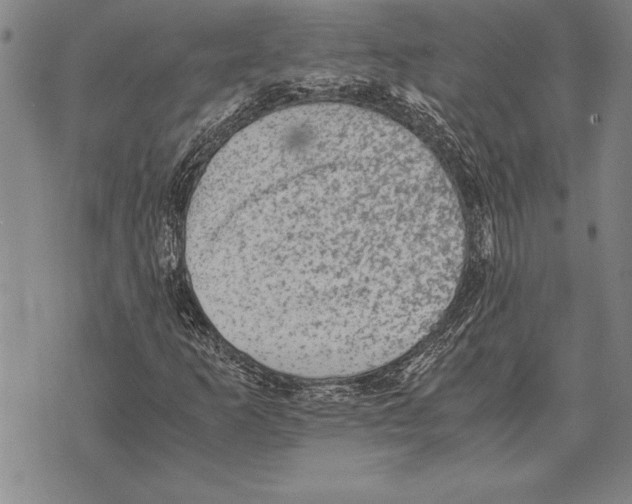 X0000075871253200610151652