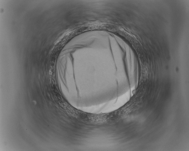 X0000075871254200610151652