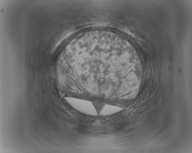 X0000075871255200610151651