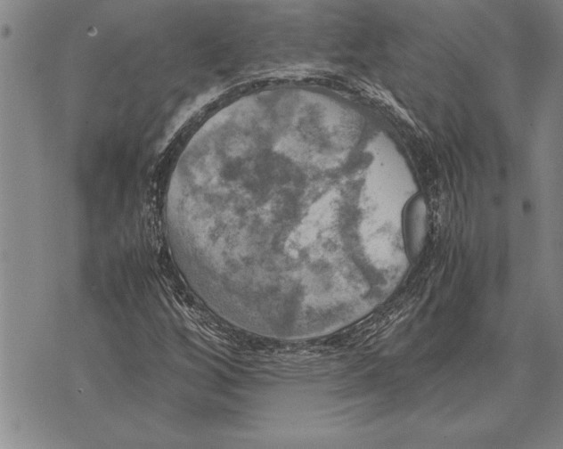 X0000075871256200610151651