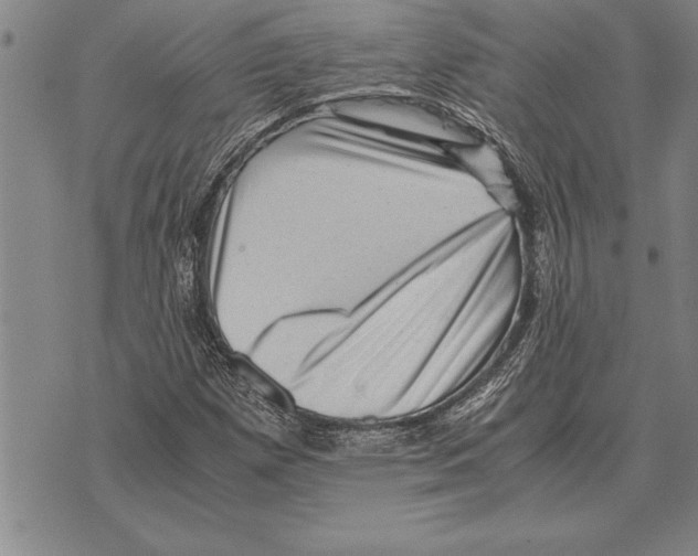 X0000075871257200610151651