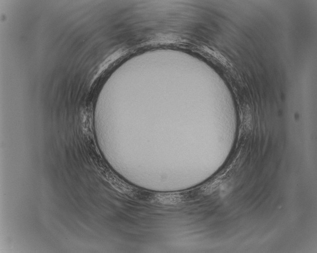 X0000075871258200610151651