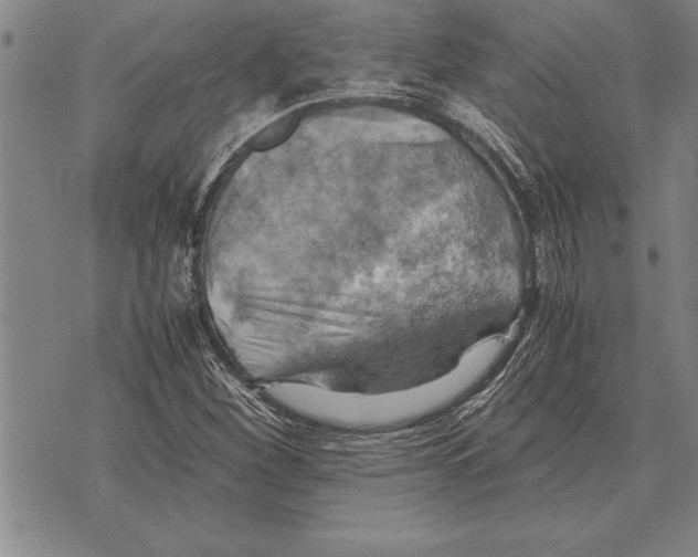 X0000075871260200610151651