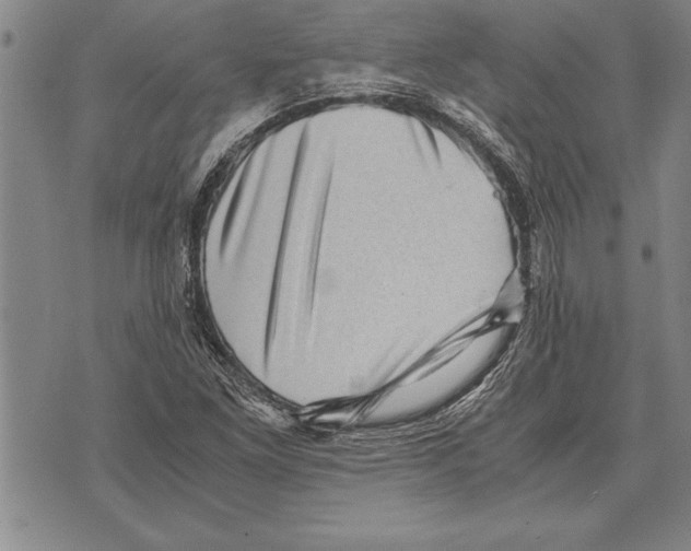 X0000075871261200610151651