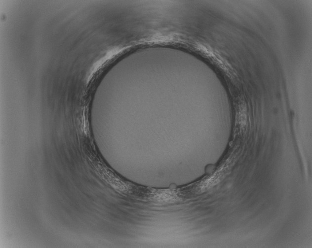 X0000075871262200610151651