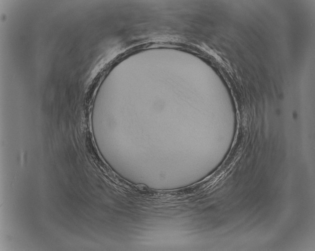 X0000075871263200610151651