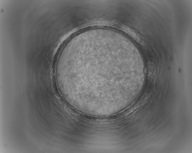 X0000075871264200610151651