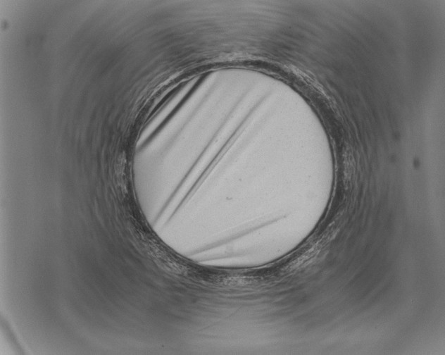 X0000075871265200610151651