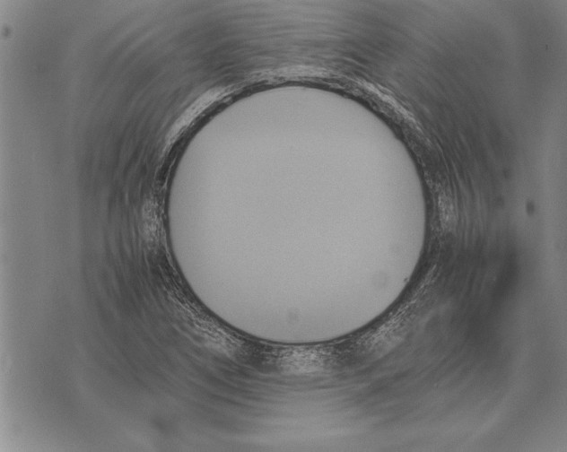 X0000075871266200610151651