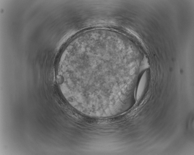 X0000075871267200610151651