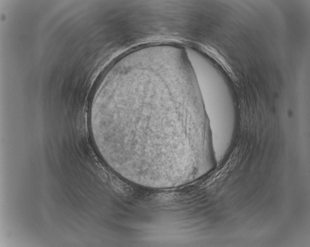 X0000075871268200610151651