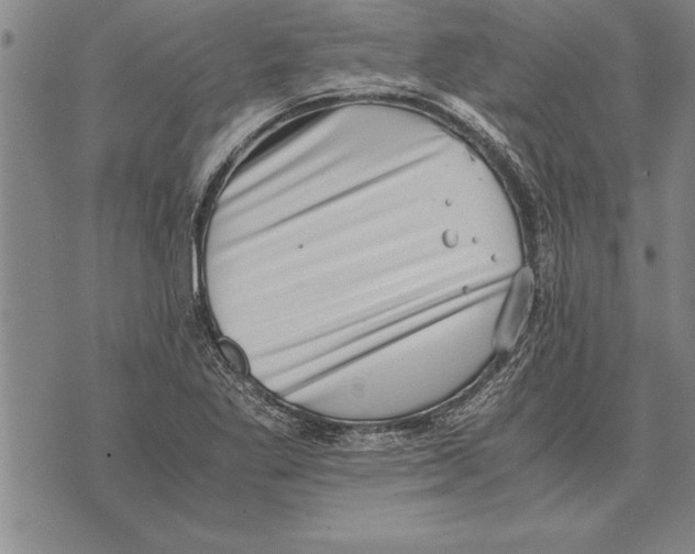 X0000075871269200610151651