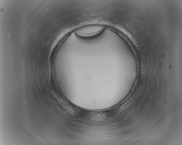 X0000075871270200610151651