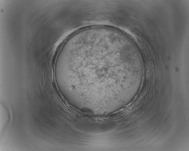 X0000075871271200610151651