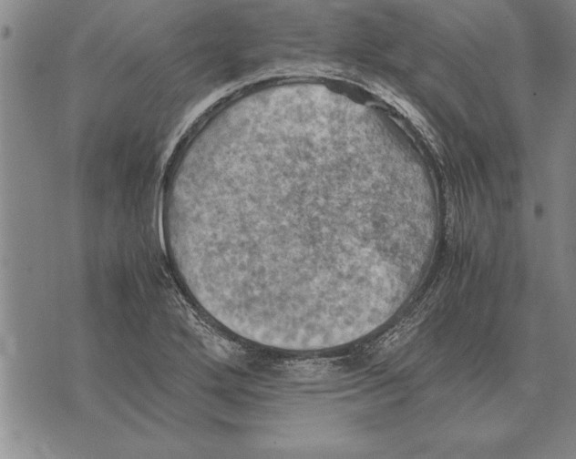 X0000075871272200610151651