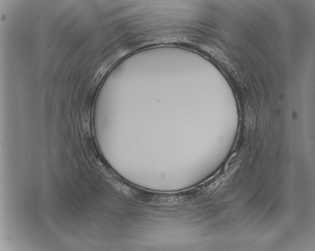 X0000075871273200610151651