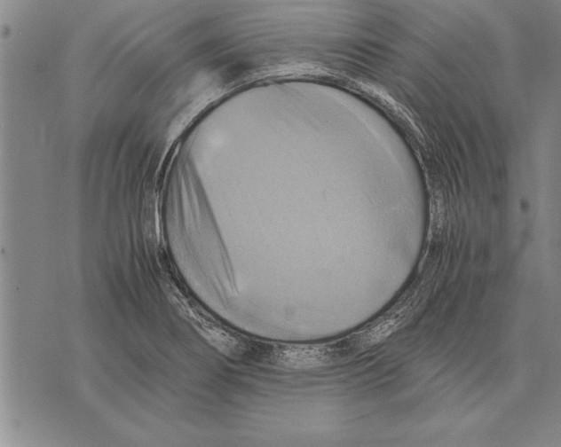 X0000075871274200610151651