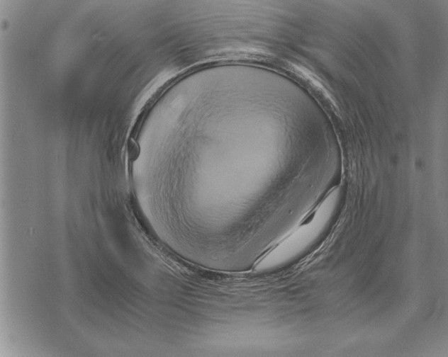 X0000075871275200610151651