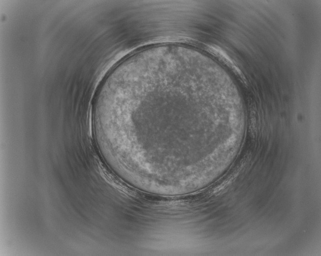 X0000075871276200610151651