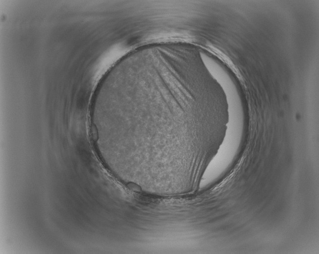 X0000075871277200610151651