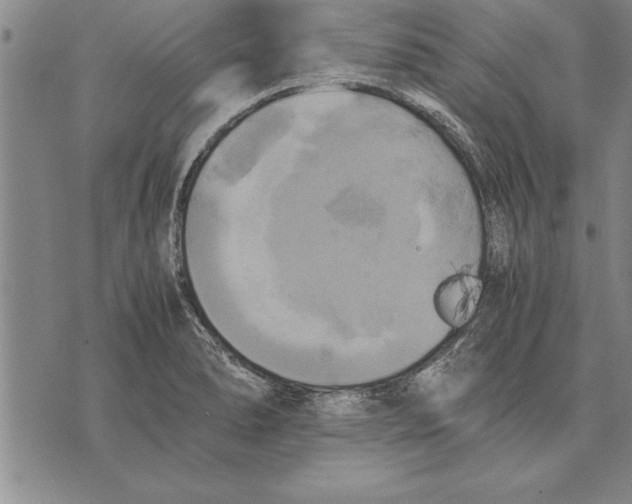 X0000075871278200610151651