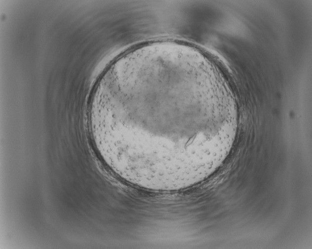 X0000075871279200610151651