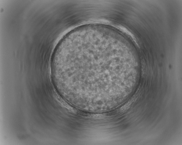 X0000075871280200610151651