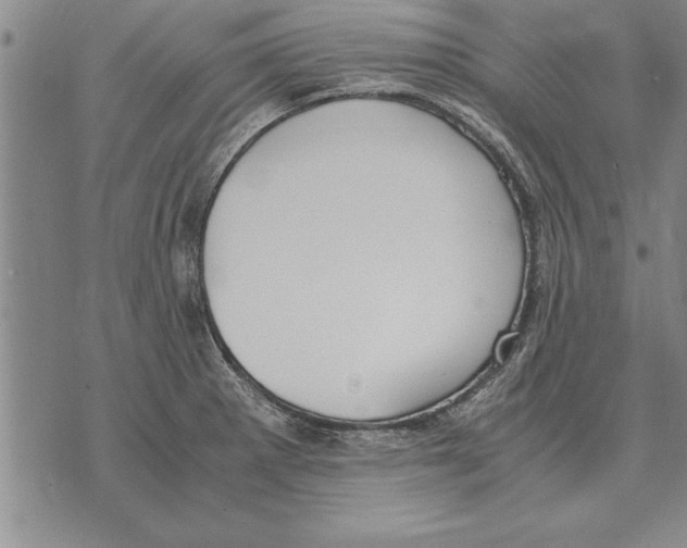 X0000075871281200610151651