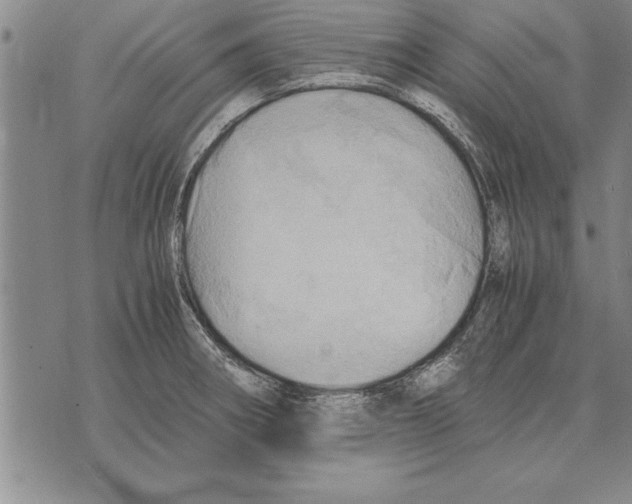 X0000075871282200610151651