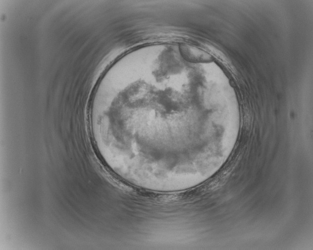 X0000075871283200610151651