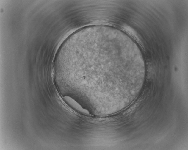 X0000075871284200610151651