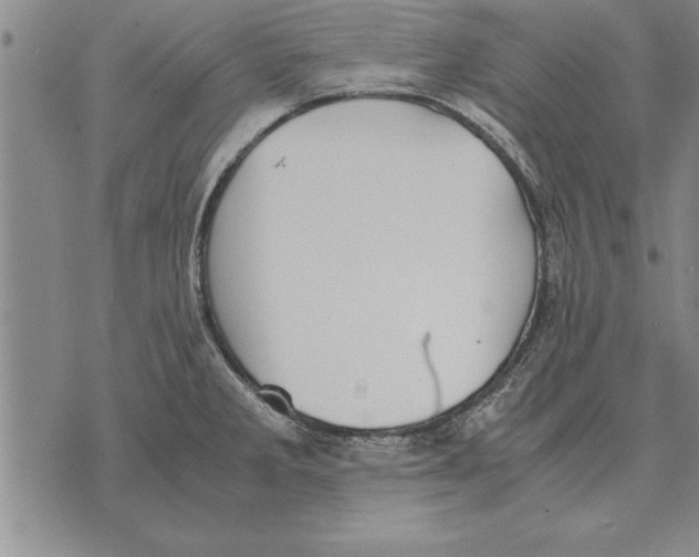 X0000075871285200610151651