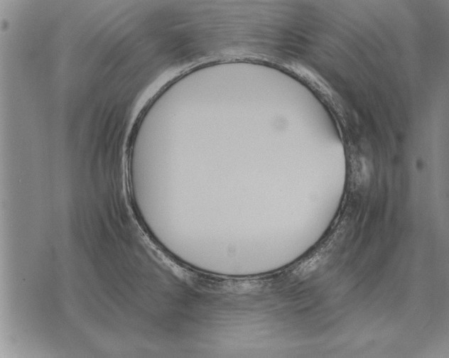 X0000075871286200610151651