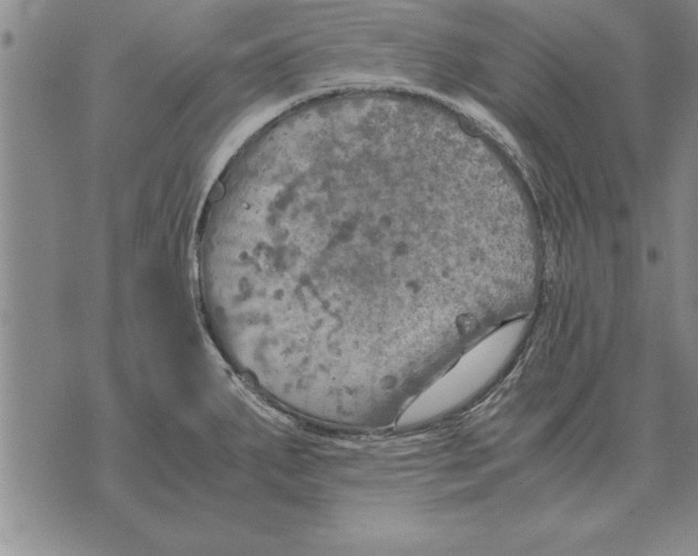 X0000075871287200610151651