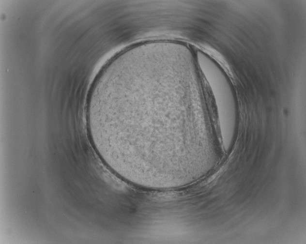 X0000075871288200610151651