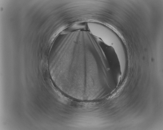 X0000075871289200610151651