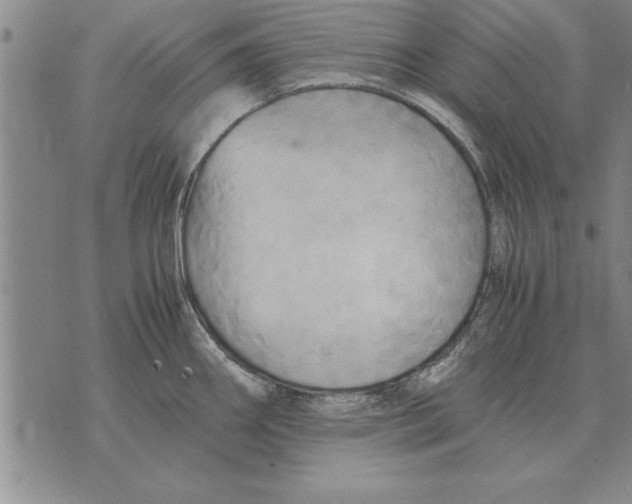 X0000075871290200610151651