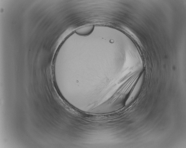 X0000075871291200610151651