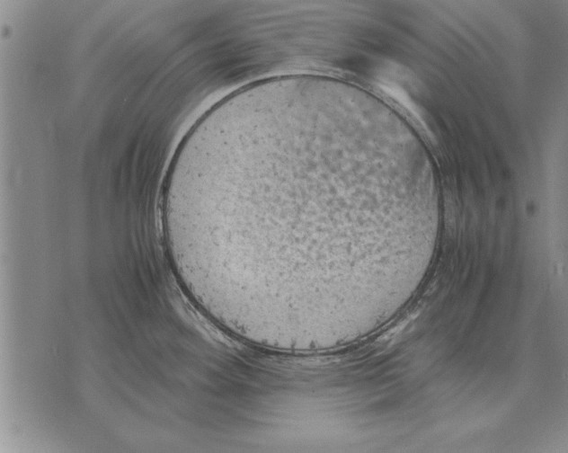 X0000075871292200610151651