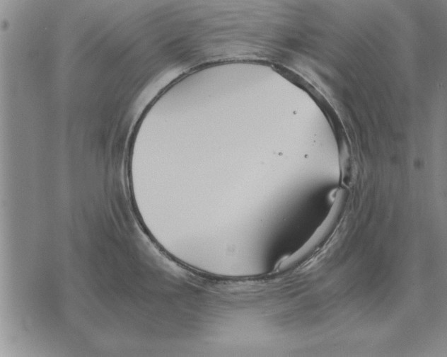 X0000075871293200610151651