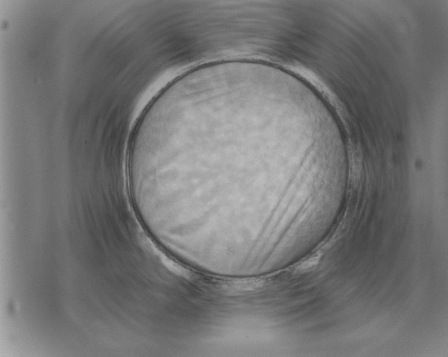 X0000075871294200610151651