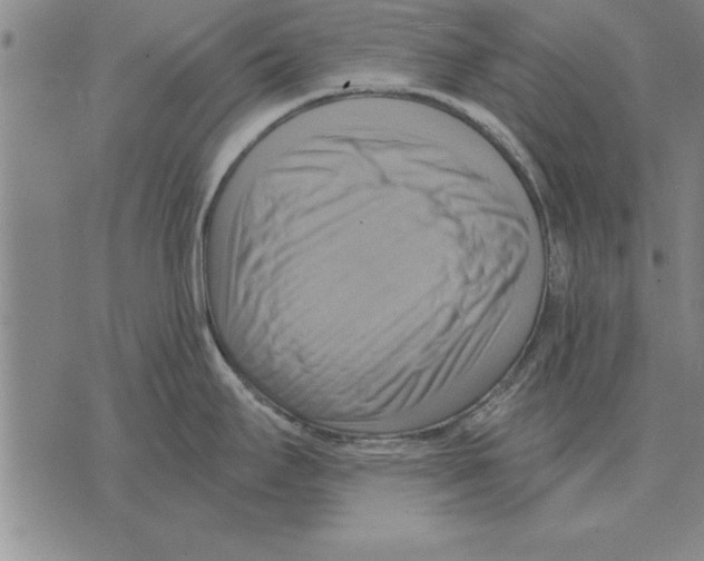 X0000075871295200610151651