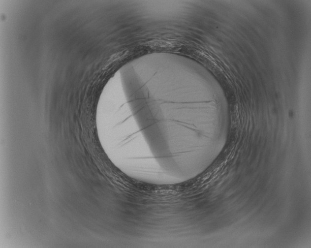 X0000075871297200610151650