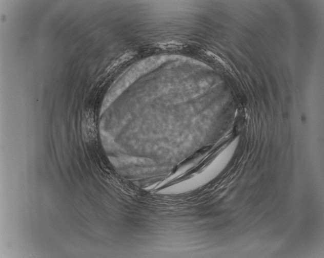 X0000075871298200610151650