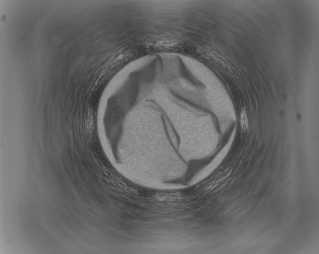 X0000075871299200610151650