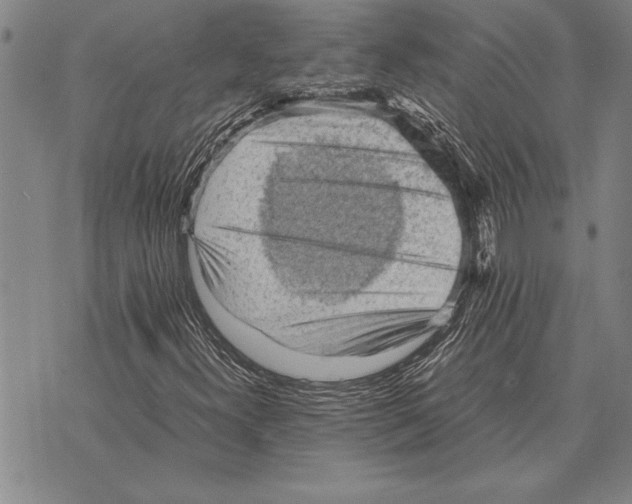 X0000075871300200610151650