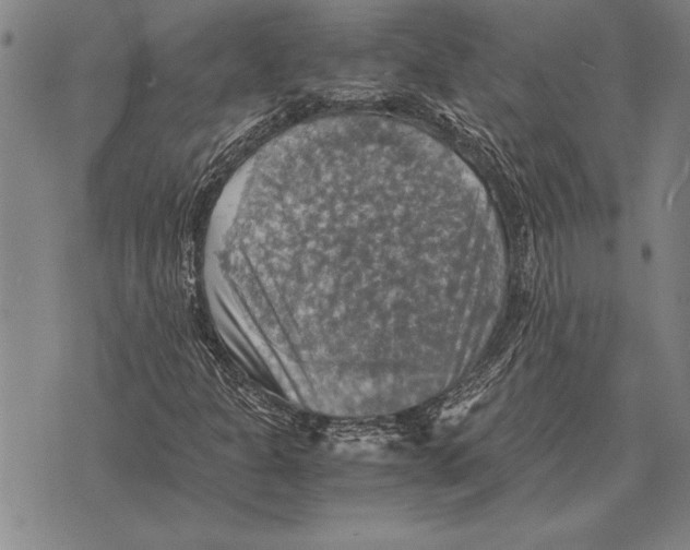 X0000075871301200610151650