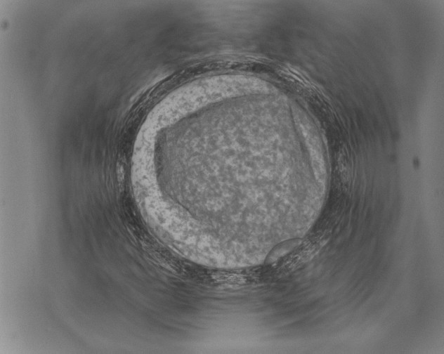 X0000075871302200610151650