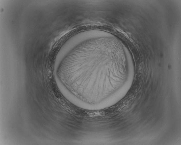 X0000075871303200610151650