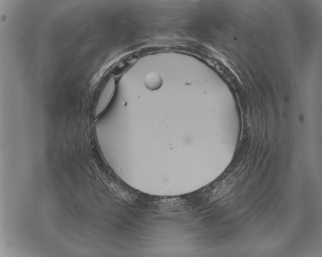 X0000075871304200610151650